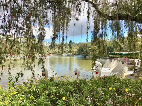 Explore Baguio City with this DIY Travel Guide.